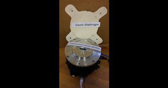 Erato 2014 elastic Myocardium diaphragm.jpg